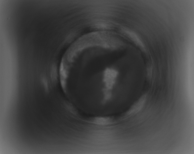 X0000100920457200807081155