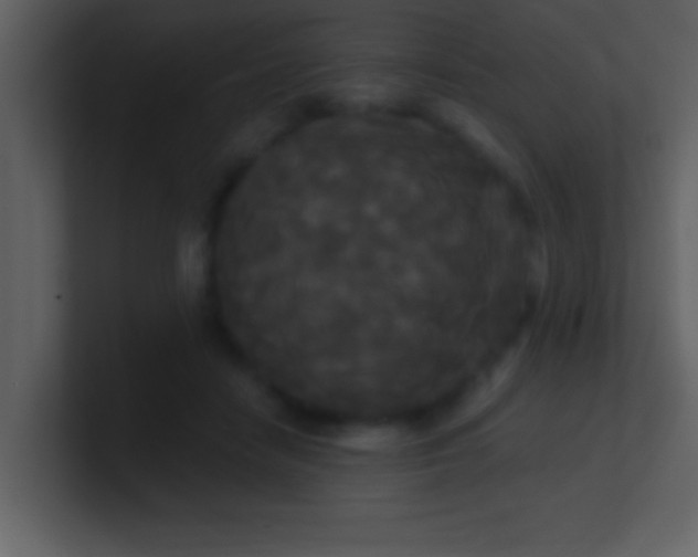 X0000100920458200807081155