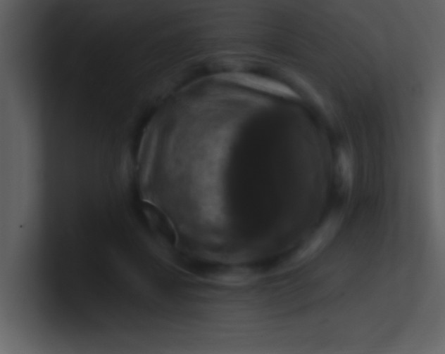 X0000100920459200807081155