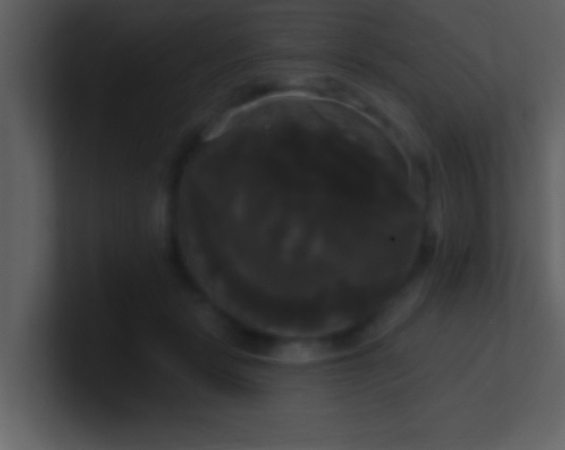 X0000100920461200807081155