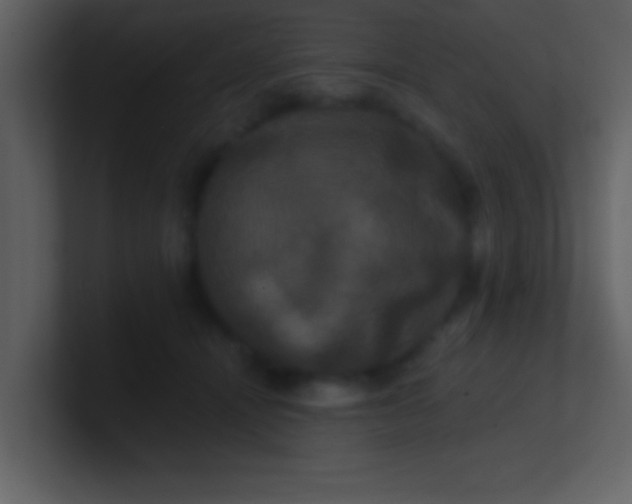 X0000100920464200807081155