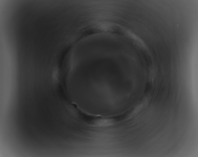 X0000100920465200807081155