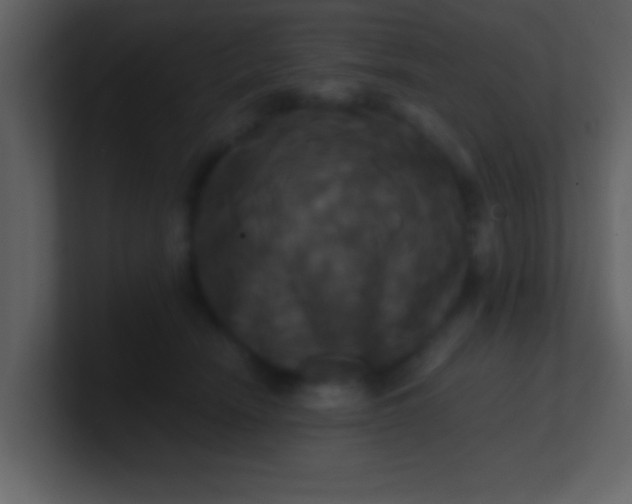 X0000100920466200807081155