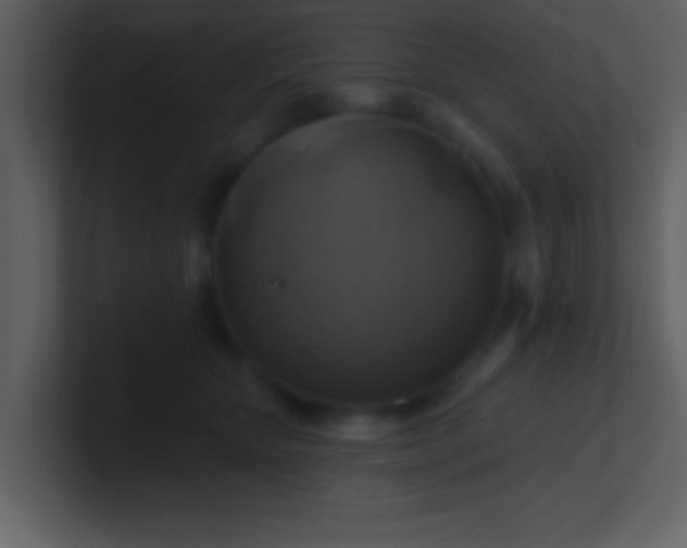 X0000100920467200807081155