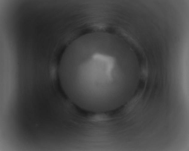 X0000100920468200807081155