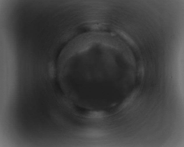 X0000100920469200807081155