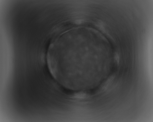 X0000100920470200807081155