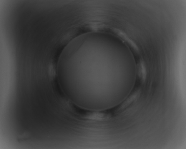 X0000100920471200807081155