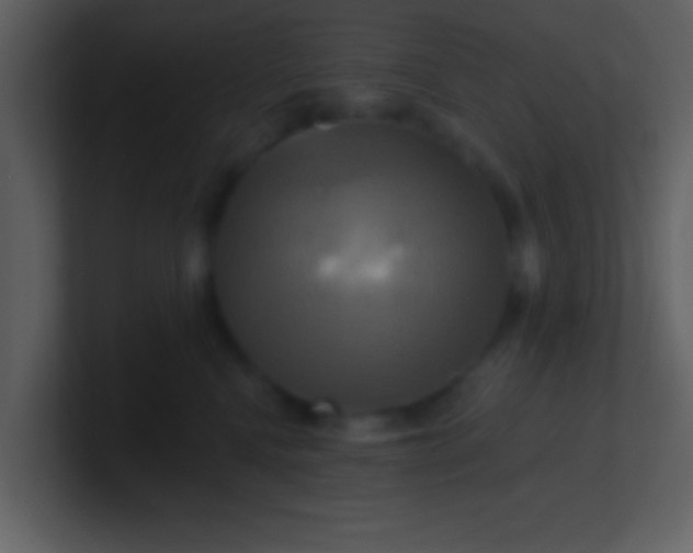 X0000100920472200807081155