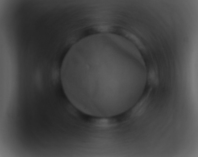 X0000100920473200807081155