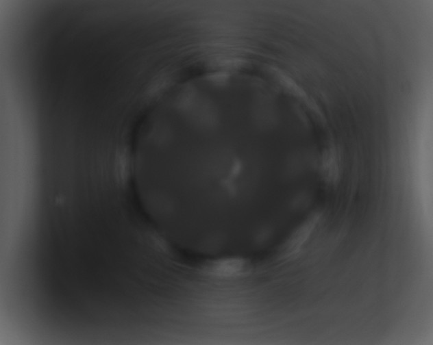 X0000100920474200807081155