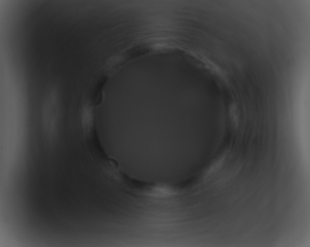 X0000100920475200807081155