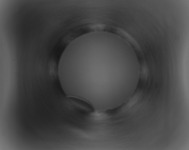 X0000100920477200807081155