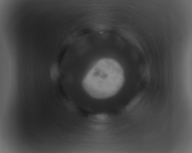 X0000100920478200807081155