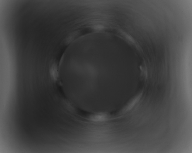 X0000100920479200807081155