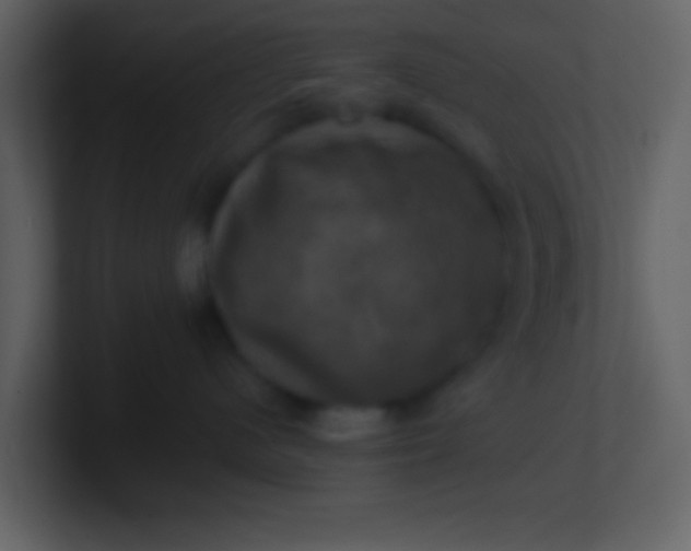 X0000100920480200807081155