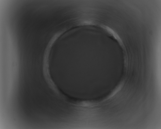 X0000100920481200807081154