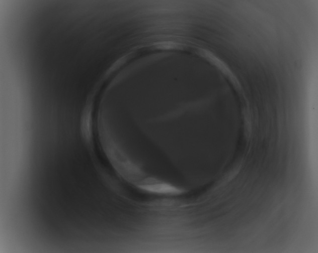 X0000100920482200807081154