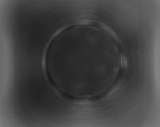 X0000100920483200807081154