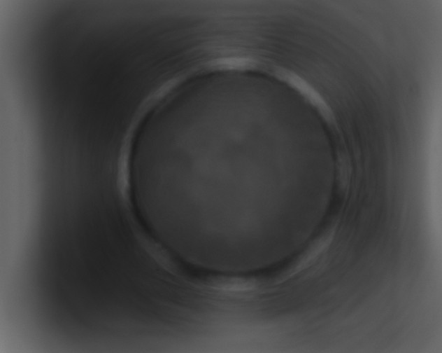 X0000100920486200807081154