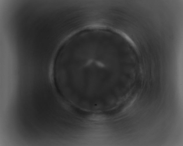 X0000100920487200807081154