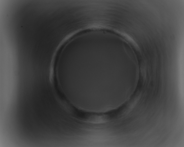 X0000100920488200807081154