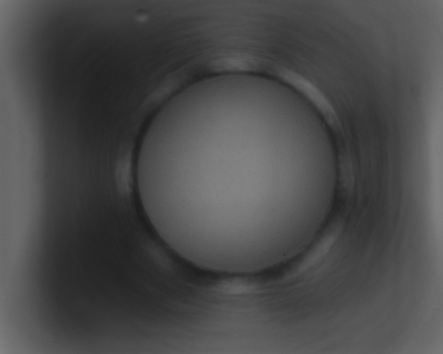 X0000100920489200807081154