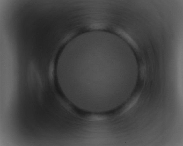 X0000100920490200807081154