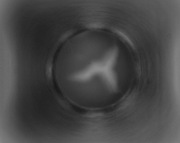 X0000100920491200807081154