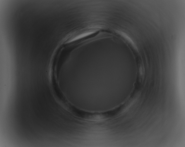 X0000100920492200807081154