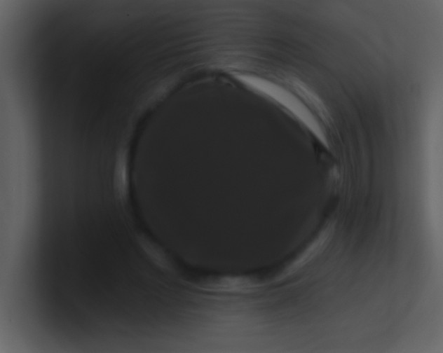 X0000100920493200807081154