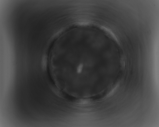 X0000100920495200807081154