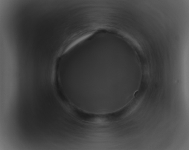 X0000100920496200807081154