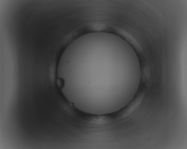 X0000100920497200807081154