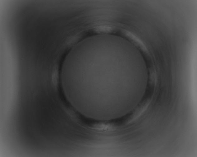 X0000100920498200807081154