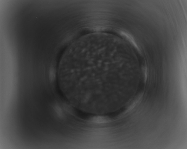 X0000100920499200807081154