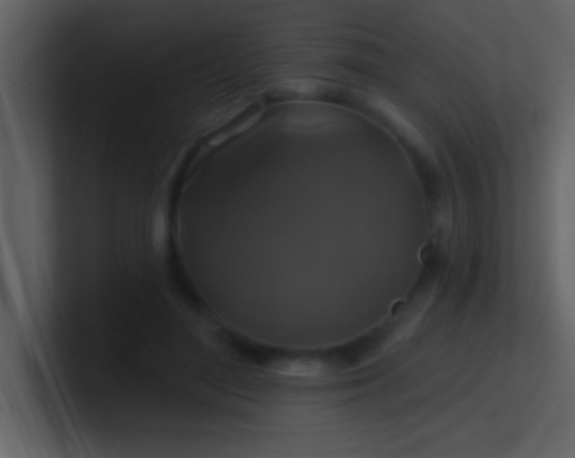 X0000100920500200807081154