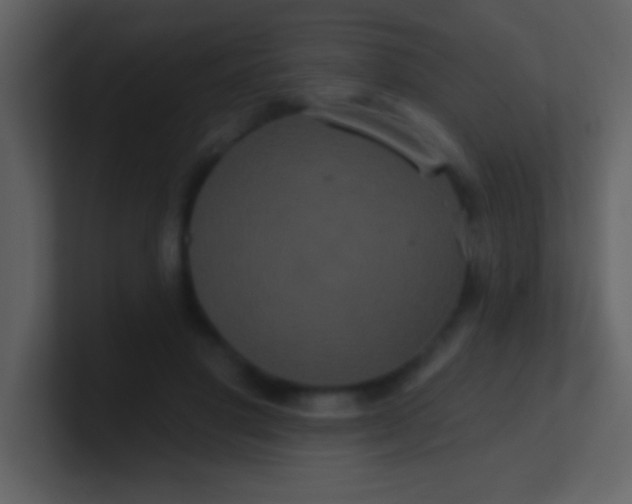 X0000100920501200807081154