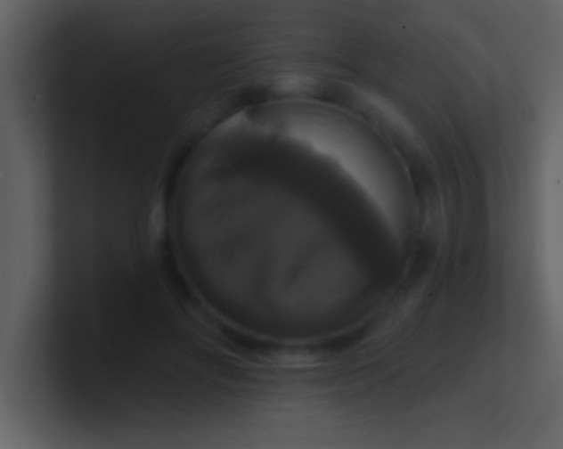 X0000100920502200807081154