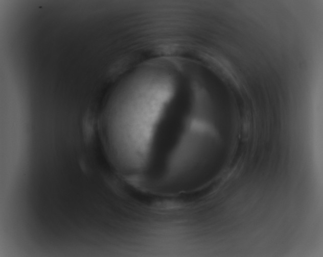 X0000100920503200807081154