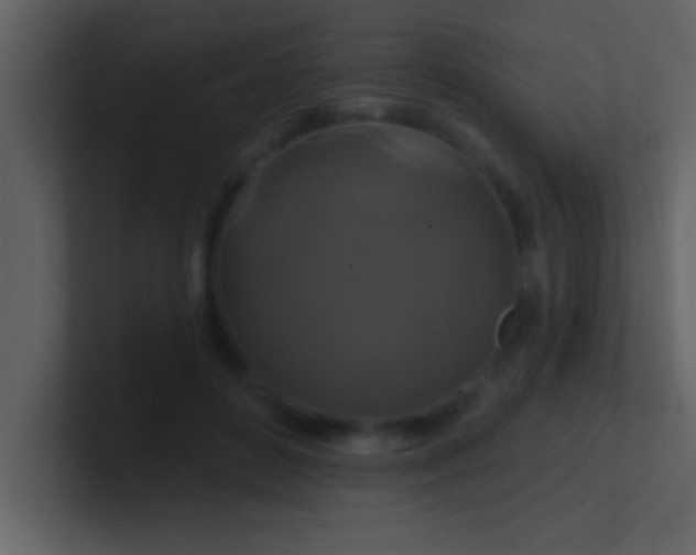 X0000100920504200807081154