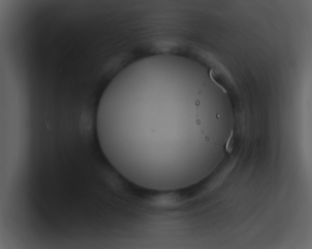 X0000100920505200807081154