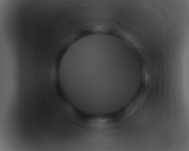 X0000100920506200807081154