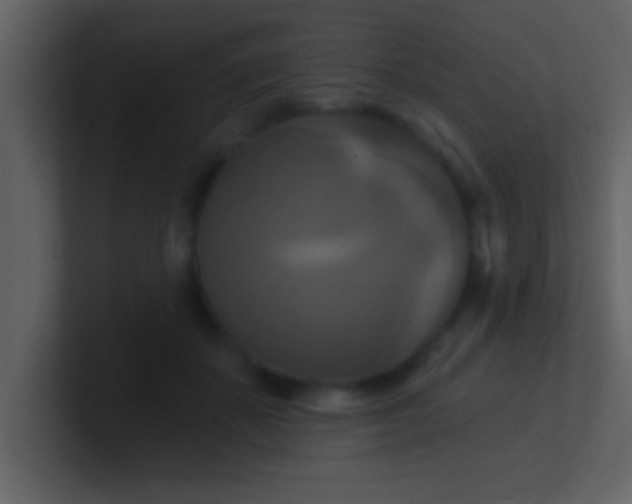 X0000100920507200807081154