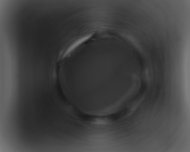 X0000100920508200807081154