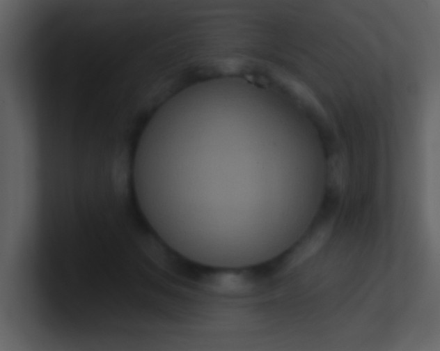 X0000100920509200807081154