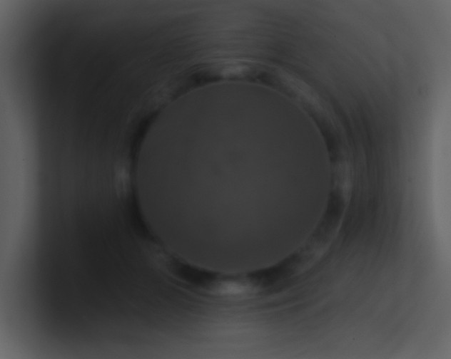 X0000100920510200807081154