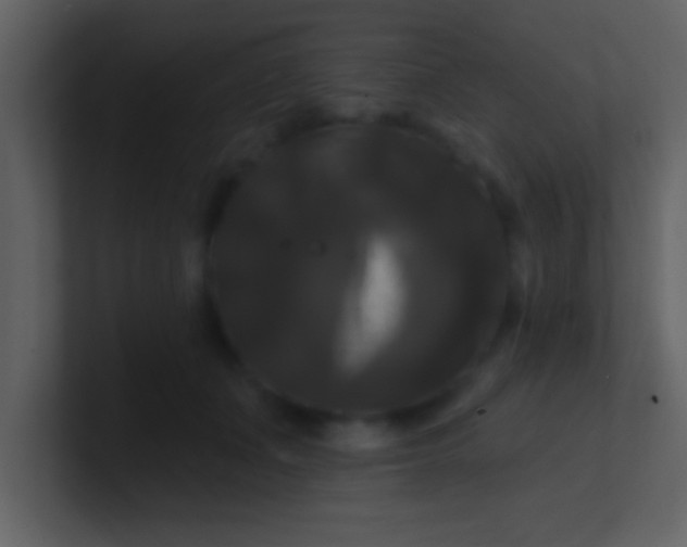 X0000100920511200807081154