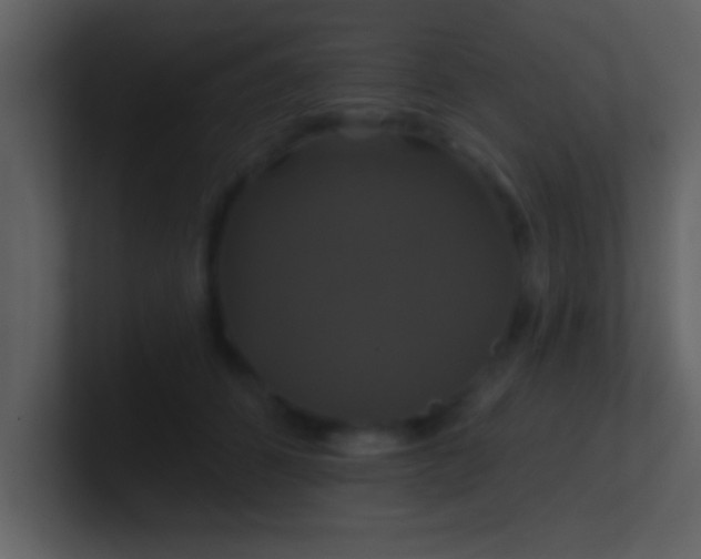 X0000100920512200807081154