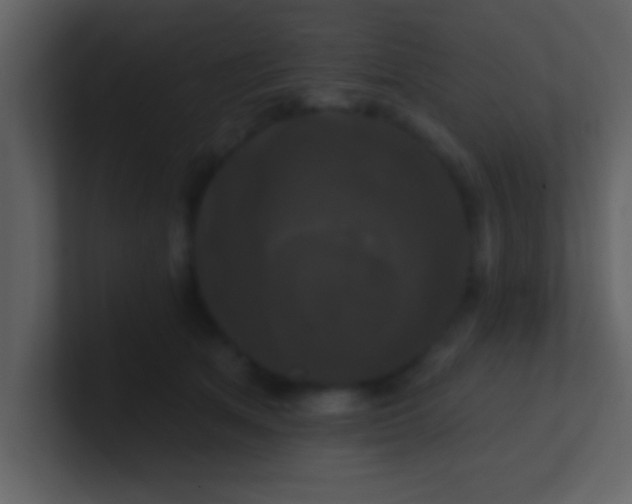 X0000100920513200807081154